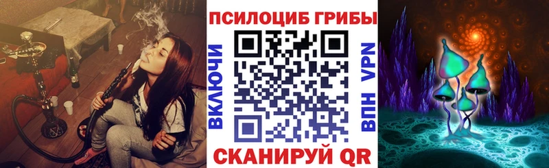 Псилоцибиновые грибы Psilocybe  купить наркотики сайты  Великий Новгород 